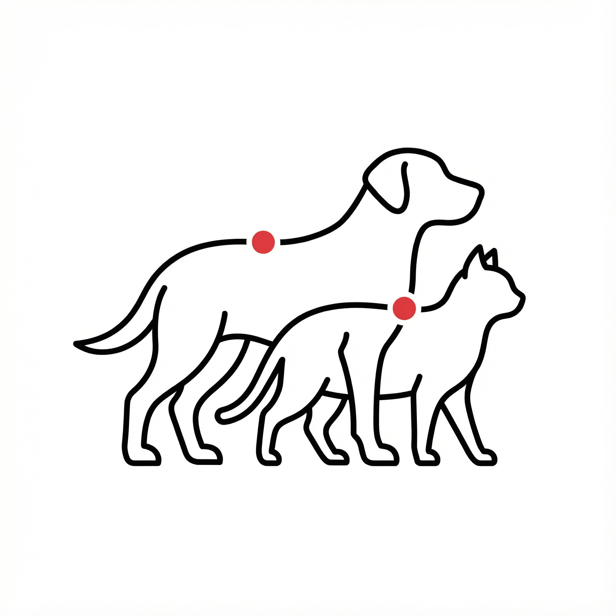 <p><strong>POST-SURGERY & RECOVERY SUPPORT</strong></p>