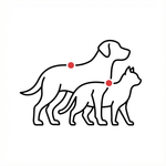 POST-SURGERY & RECOVERY SUPPORT