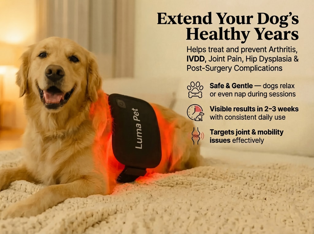 Luma Pet Red Light Mat.